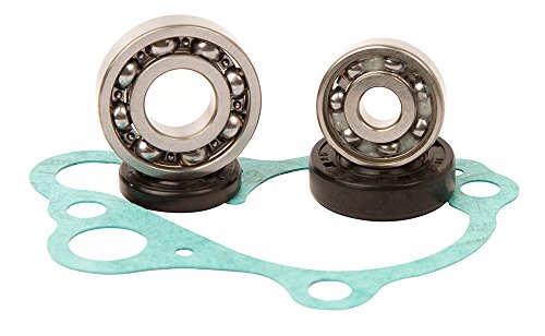 Hot Cams DB Electrical WPK0008 - Kit de reparación de bomba de agua de Hot Rods compatible con/repuesto para Honda Wpk0008