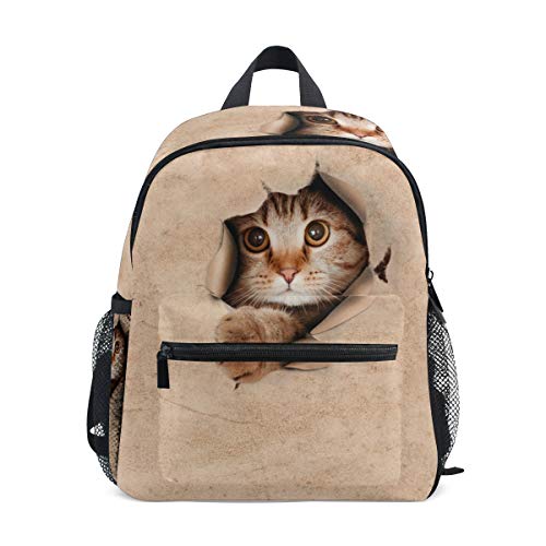 [SUKAU] bN LbY bNTbN L L F ̎q w j̎q   y ʉ ct  s h