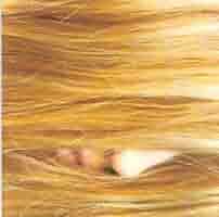 juana molina segundo UKオリジナル2LPレコード Segundo (21st