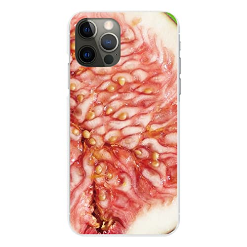 Xperia 10 VII A502SO p P[X NA Jo[ X}zP[X X}zJo[ ^ sc890-clear(Q) t[c ʕ  C`WN ԉ gуP[X gуJo[ n[h v