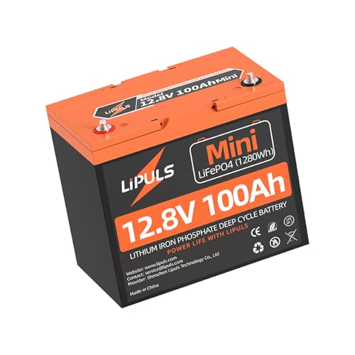 12v 100ah Mini Lifepo4 Lithium Battery Lithium Iron Phosphate Battery Built-i...