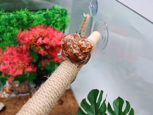 Image of Hermit Crab Climbing Toys, Wooden Hermit Crab Bridge with 2 Suction Cups, Hermit Crab Supplies, Cage Habitat Accessories for Hermit Crab