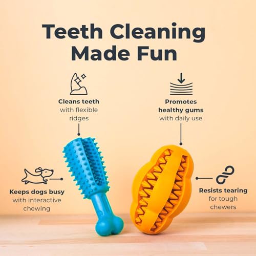 Image of Oxyfresh Premium Dog Dental Chew Toy - Helps Fight Plaque & Tartar | Fun Way to Help Clean Stinky, Yellow Dog Teeth - Natural Rubber is Gentle on Gums - Helps Cleans Teeth & Freshens Breath
