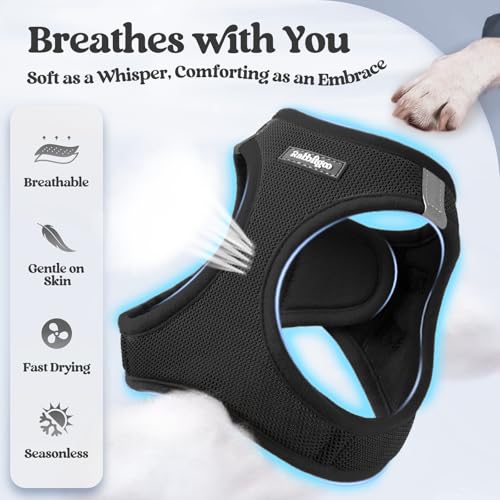 Image of rabbitgoo Dog Harness Small Sized and Leash Set, Step-in Puppy Pet Vest