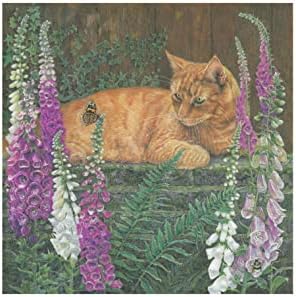 Cat Birthday Card - The Butterfly. UK Made. Printed Inside. Recyclable