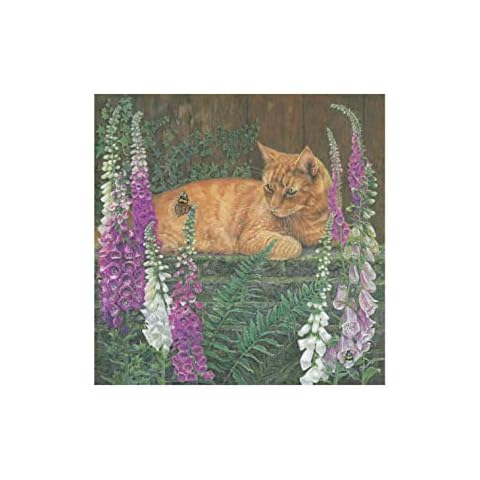 Cat Birthday Card - The Butterfly. UK Made. Printed Inside. Recyclable Cover