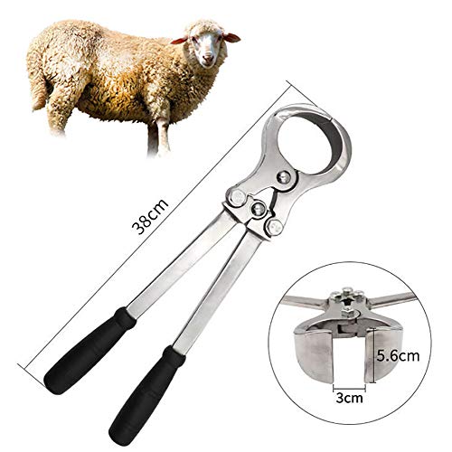 EBDS Sheep Castration Pliers,Livestock Castration Tools Stainless Steel Bloodless Veterinary Instruments