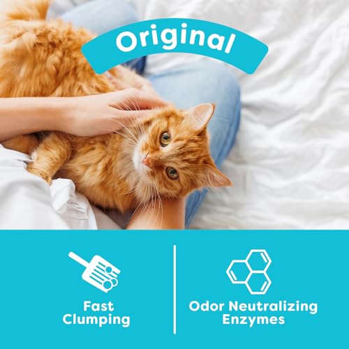sWheat Scoop Natural Wheat Cat Litter, Original, Fast Clumping with Odor Neutralizing Enzymes, 25 Pound Bag - Image 5