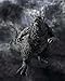 Caolun Monster Series - Godzill (Minus One), Monsters Roar Attack Figure