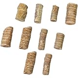 NUOLUX 10個 ウミユリの茎の化石 海洋棘皮動物の研究材料 海洋動物のおもちゃ 古代 スケルトンのおもちゃ 三葉虫のおもちゃ 古生物学 ティーチングツール サンプル 装飾品 学生指導 検体