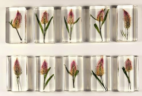 Image of 2.8 inch Real Flamingo Feather Wheat Celosia in Crystal Clear Lucite Resin Paperweight Botanist Herb Herbarium Collection Mother's Day, Anniversary, Wedding Gift Botany Ornament Display Paperweight