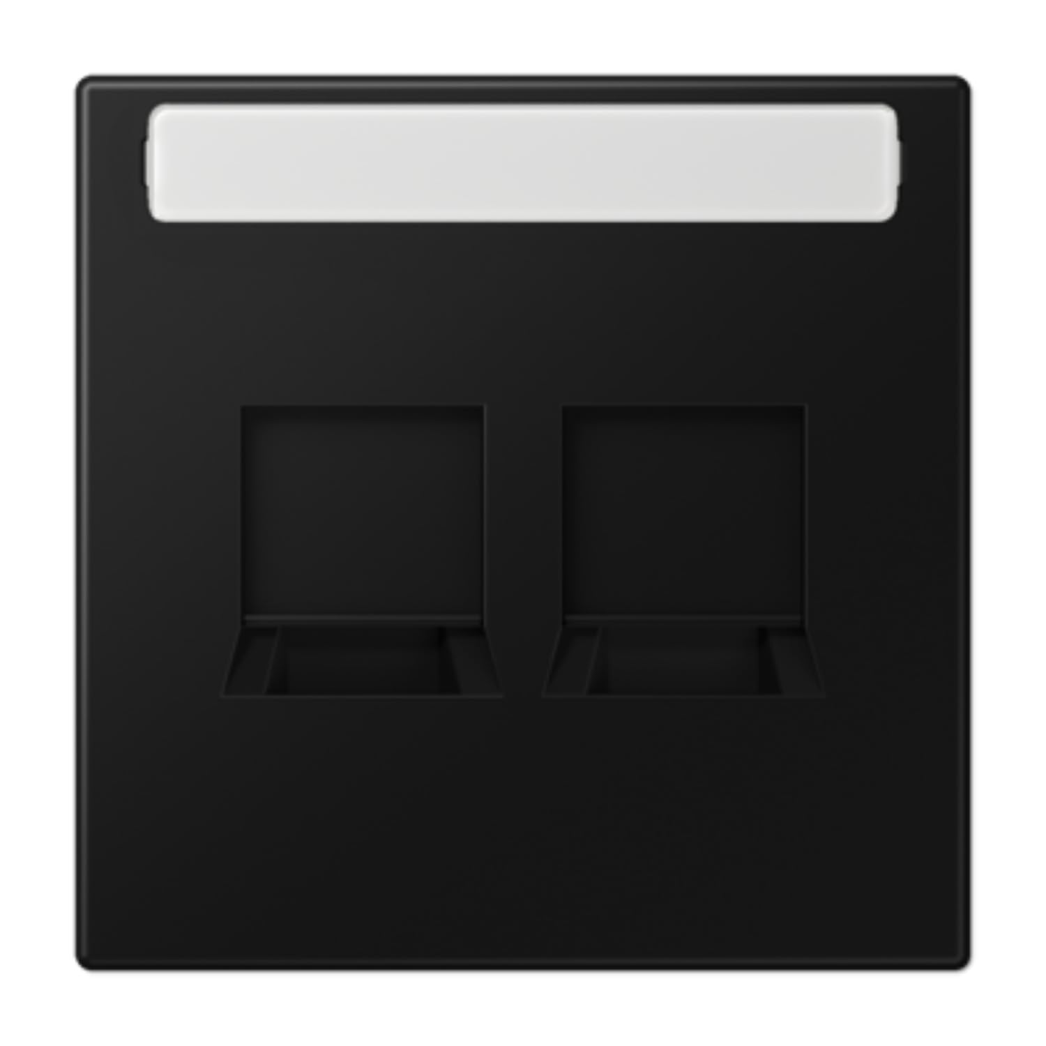 Plaque modulaire Jack-Rad 2T JUNG LS1969-2NAWESWM noir mat pour finition épurée