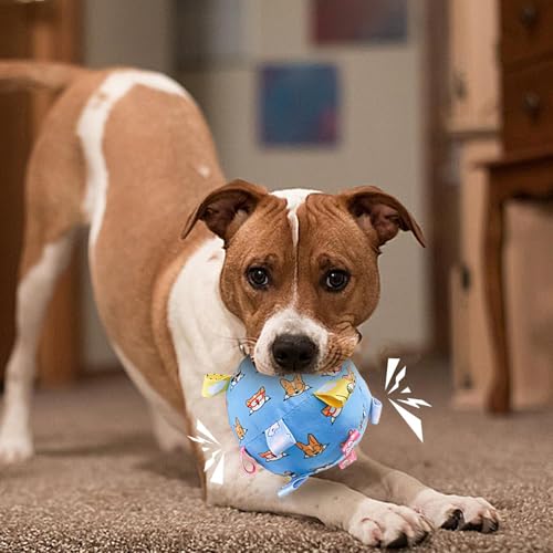 Spielzeug Spielball Für Hunde | Fester Welpe Piepball- Verschleißfestes Kauzubehör Für Innen Außen Und Garten-2