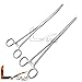 LAJA Imports Set of 2 Pcs 8