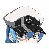 13cm x 11,1 cm para Akame Ga KILL Esdeath Peeker pegatinas de coche impermeable Anime DIY