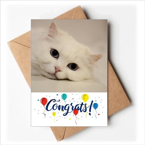 Cartes de mariage motif chat blanc pour accompagner vos cadeaux aux mariés