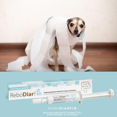 ReboDiarFin Verdauungs-Paste für Hunde & Katzen 16 ml: Unterstützung bei Verdauungsstörungen, Mit Pektin & Kaolin, Angereichert mit Glutaminpeptid, Probiotika- & Präbiotika-Mix