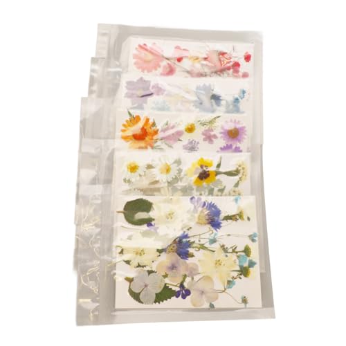 Kit de flores prensadas secas coloridas para manualidades miniatura 5