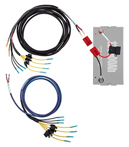 Connect-Ease Graph Power Pro Marine Wiring Harness Kit RCE12VGRPRO1922 | 8-Gauge Marine-Grade Wire with Fused 12V Connections | Wiring Kit for 19’-22’ Console Boats| Lithium-Compatible Boat Accessory