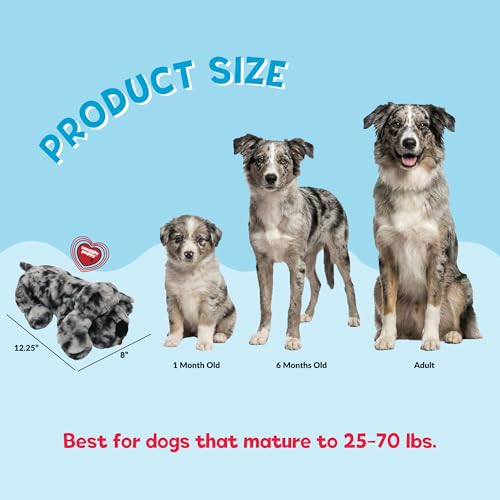 Image of Snuggle Puppy Heartbeat Toy, Calming Comfort, Breed Buddies Blue Merle
