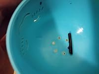 Review Image by Diane Diane