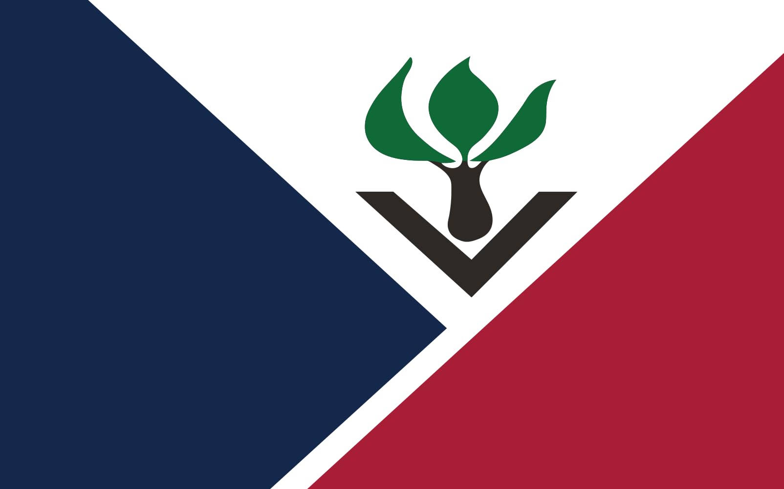 Drapeau Hazelwood Missouri idée cadeau originale pour passionné d'histoire américaine