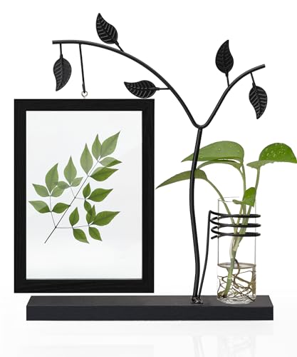 Afuly 写真たて 2面 はがき2L フォトフレーム 植物栽培可 写真立て かわいい (ブラック, 2L)