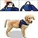 Copatchy No Pull Reflective Adjustable Dog Harness With Handle- Comfortable Soft All Weather Mesh, Easy On Puppy Harness For Small Medium and Large Dogs (Blue) Small