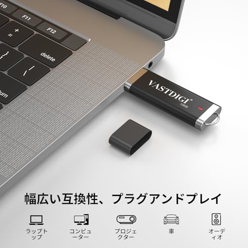 VASTDIGI USBメモリ 128GB USB2.0