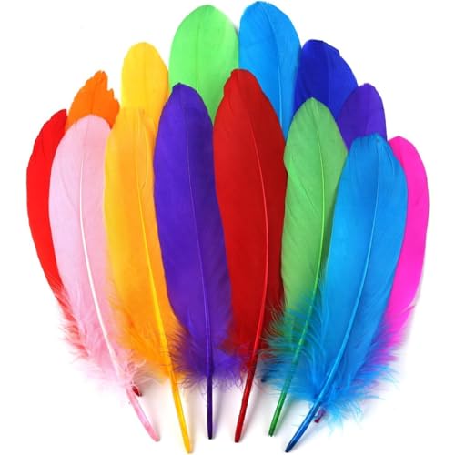 Image of Tdas 50+ Pcs Natural Dyed Goose Feathers for Craft 6-8 inches Arts Fluffy Dream Catcher Making kit for Decoration Projects Earrings Colourful for Kids Handmade Wedding Home (Multicolor)