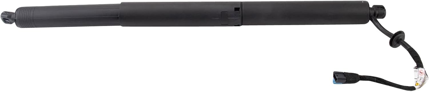 銀閣】中国美術 青白玉 刻 題詞 文字 指貫 環 φ3.3cm 旧家蔵出 送料