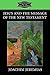 Jesus and the Message of the New Testament (Fortress Classics in Biblical Studies)