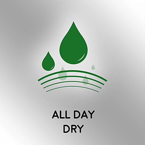 Mennen Speed Stick Irish Spring Antiperspirant Deodorant, Original, 2.7 Ounce (Pack of 2)