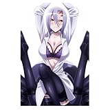 VANCOSTAR Monster Musume No Iru Nichijou Monster Musume Everyday Life With Monster Girls Rachnera Arachnera Anime Poster Manga Art Sexy 12x16 Poster