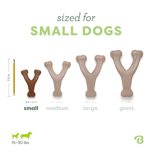 Image of BeneBone Wishbone Chew Toy for Dogs (Real Peanut, Small)
