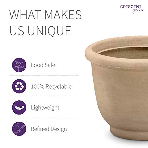 Crescent Garden Agave Planter, Charming Old-World Plant Pot, 14-Inch (Weathered Stone) #TOP3