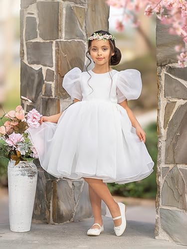 Flower Girl Dress Organza Toddler Dresses Puff Sleeve & Bow Bcak Girls Princess Dress for Wedding Birthday Party2
