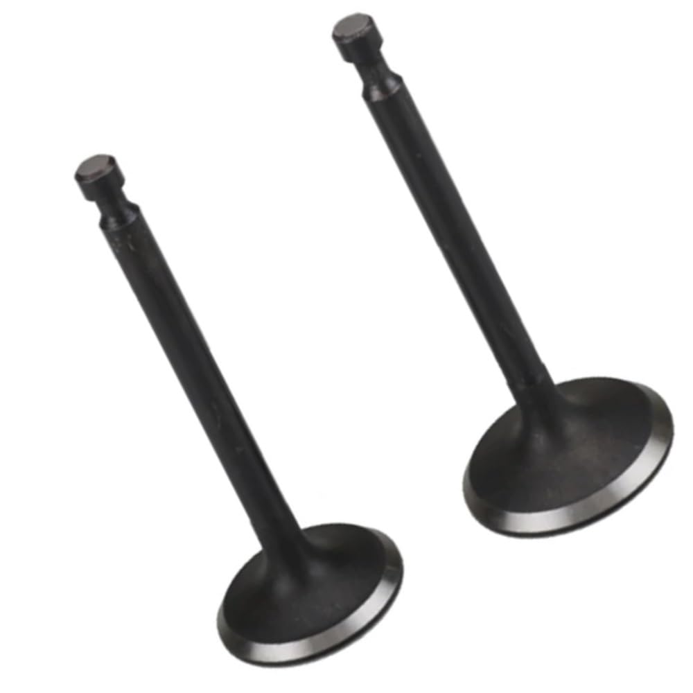 Ctybvm One Color Valve Intake & Valve Set Suitable For R Ex40 Engine Generator