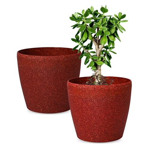 Eha Set of 2 Earth-Friendly Deco 9" Self-Watering pots and Plante...