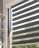CHICOLOGY Zebra Blinds , Roller Window Shades , Blinds for Windows , Roller Shades for Windows ,...