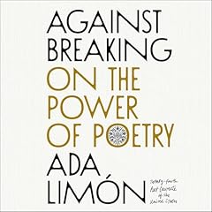 Against Breaking Audiolibro Por Ada Lim&oacute;n arte de portada