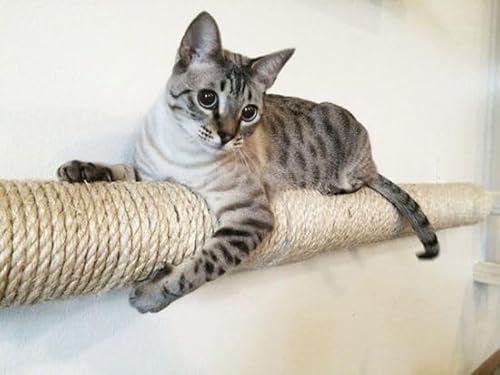 CORDA CORDAO SISALSUL SISAL 6MM X 100M