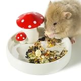 Niteangel Mushroom Ceramic Feeding Bowl