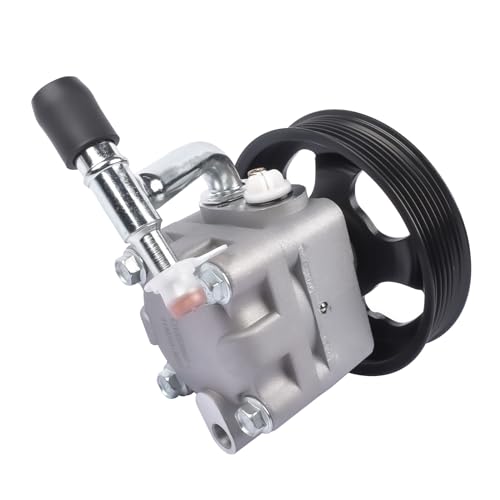 NSGMXT Power Steering Pump Replacement for Elgrand Petrol MPV AWD RWD E51 2.5 3.5 2004-2008 49110-WL005 49110WL005