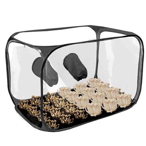 Kit Grande para Cultivo de Setas, Caja para Cultivo de Setas, Tienda portátil para Cultivo de, Estaciones de propagación con Campana extractora, Bolsas para Cultivo de Setas, Suministros