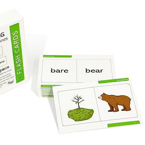 Pat's Flash Cards 50 English Homophones Flash Cards