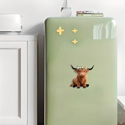 Imán Decorativo de Acrílico para Refrigerador miniatura 5