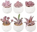 6 Pack Suculents artificiels Petit succulent faux en pots, Assortiment décoratif Faux rose Suculant Poté,Mini Faux Poté Suculente Décor pour Table Décor, Salle de bains, Décor de bureau