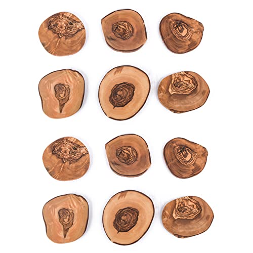 Set of 12 Coasters in Natural Cut Rustic Glass Coasters Olive Wood Handmade Wooden Coasters Gift (Set of 12)