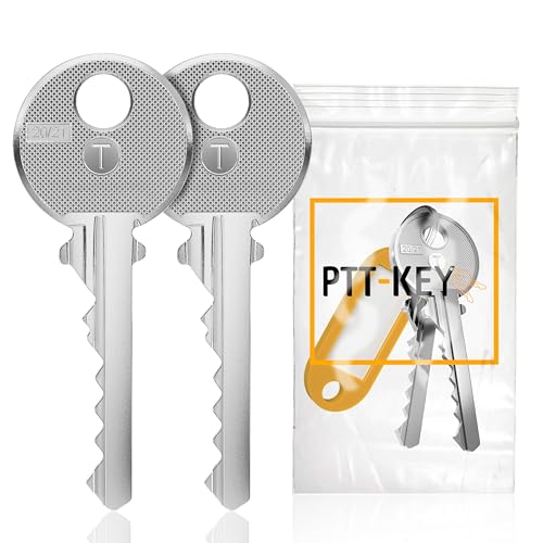 Générique Lot 2 Clés Pass PTT T10 identiques. Pour serrure boîte aux lettres et entrée d'immeuble - Barillet de boîte normalisée La Poste.